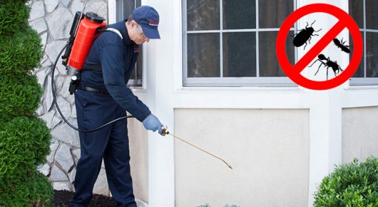Ardeşen Akrep İlaçlama böcek ilaçlama ve haşere kontrolü — ilaclama-tr.com